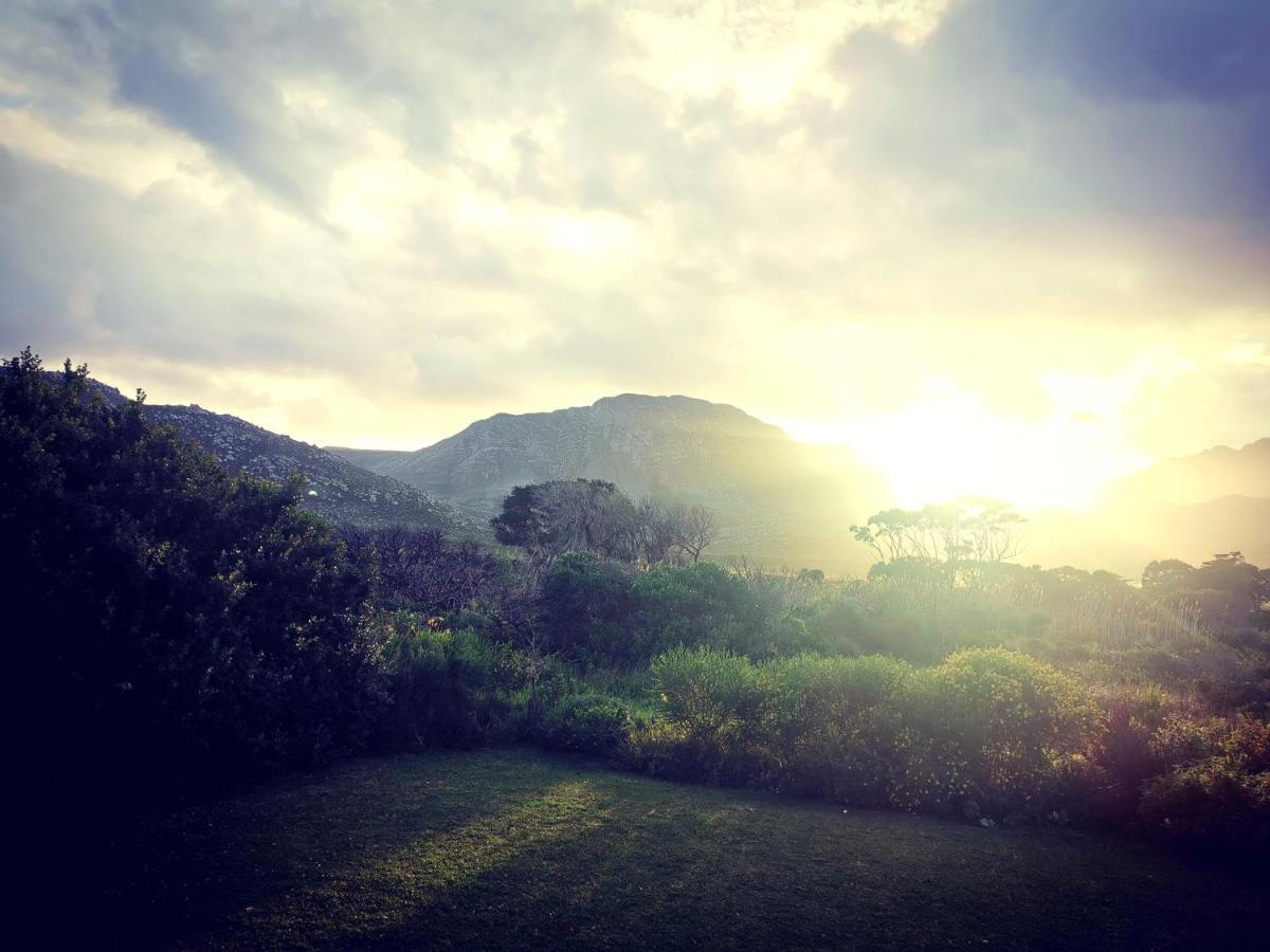 The Crowded House Villa Pringle Bay Eksteriør billede