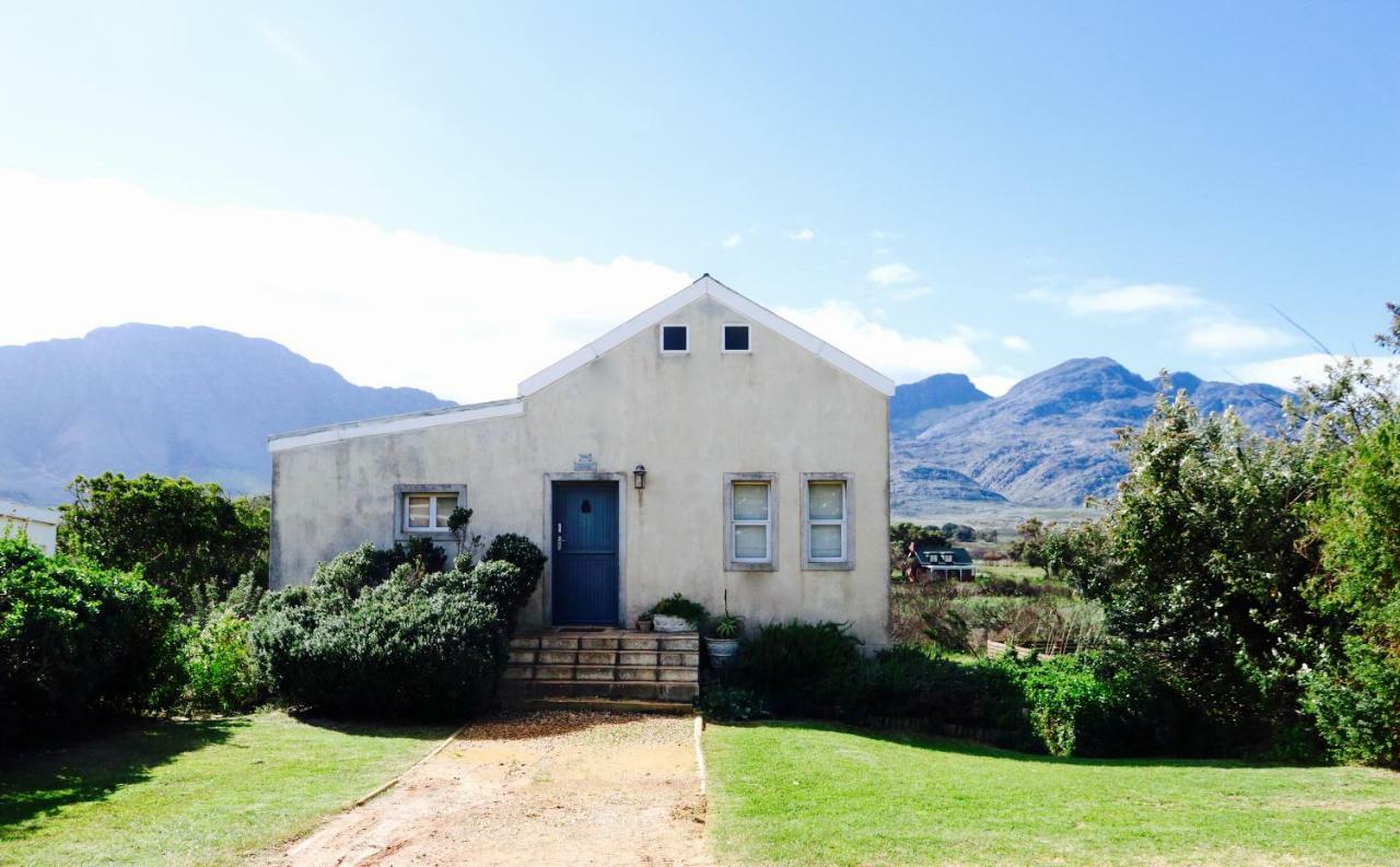 The Crowded House Villa Pringle Bay Eksteriør billede